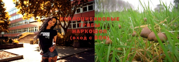 spice Алзамай
