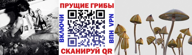 Галлюциногенные грибы ЛСД Калининск