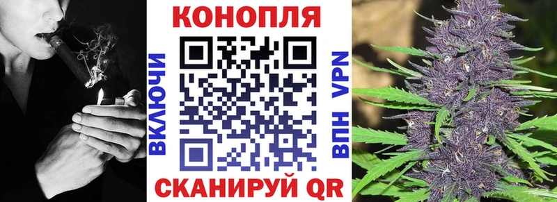 Бошки марихуана VHQ  сколько стоит  ссылка на мегу ССЫЛКА  Калининск 